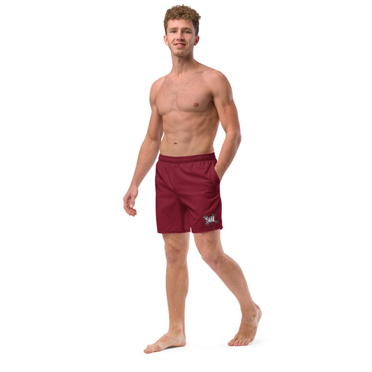 Soi-Men's swim trunks